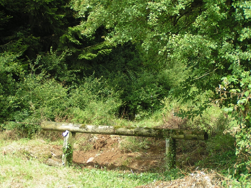 DIVERS 2009 627.jpg